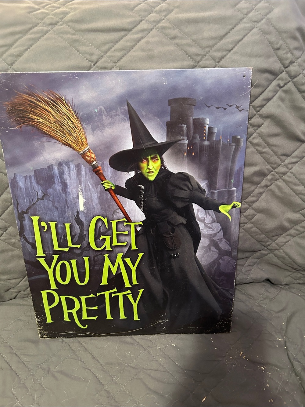 Wicked Witch Decorative Sign - "I'll Get You My Pretty" - Green & Black